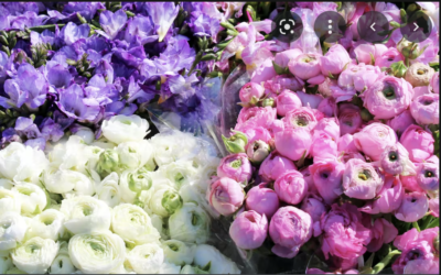 Fleurs françaises : comment relancer le marché ?