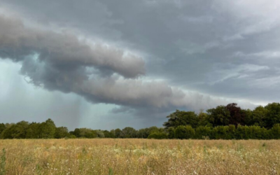 La direction des FFI précise que son infolettre n’est responsable des orages que dans les territoires qui manquaient d’eau.
