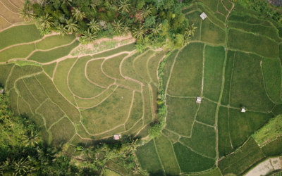 Les travaux du Lab FFI sont relayés par Le Monde !