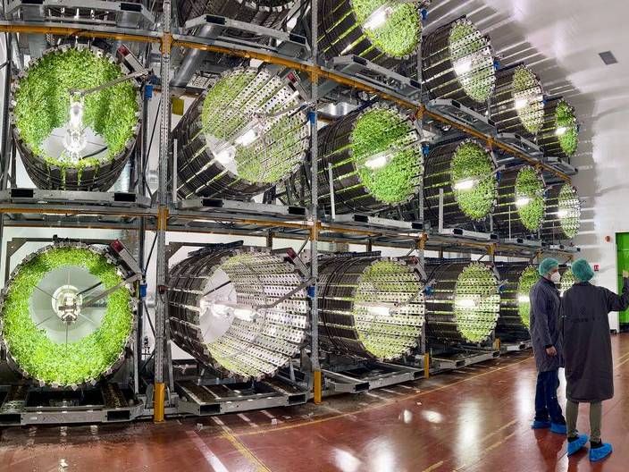 Faire pousser des fruits et des légumes sains en ville et en toute saison : Futura Gaïa, lauréat du prix première usine France2030