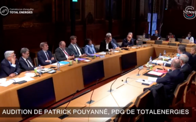 Patrick Pouyanné : Comment l’Europe a sacrifié les producteurs de panneaux solaires français.