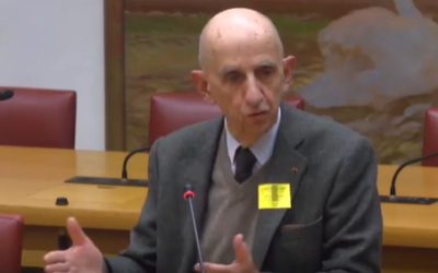 Comment le CICE a été dévoyé ? L’explication de Louis Gallois au Sénat.