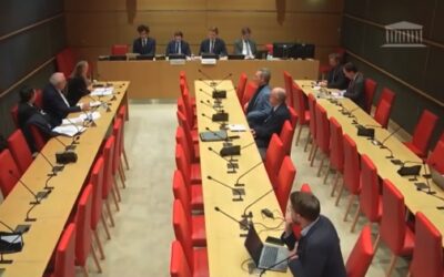 Marie-Pierre de Bailliencourt à l’Assemblée nationale : « L’Europe crée elle-même son désavantage compétitif »