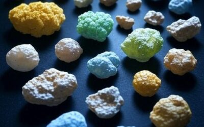 Terres rares : Quand l’alliance de la technologie et du biomimétisme dépollue l’industrie