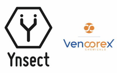 Ÿnsect en liquidation : quand la startup nation oublie les PME industrielles